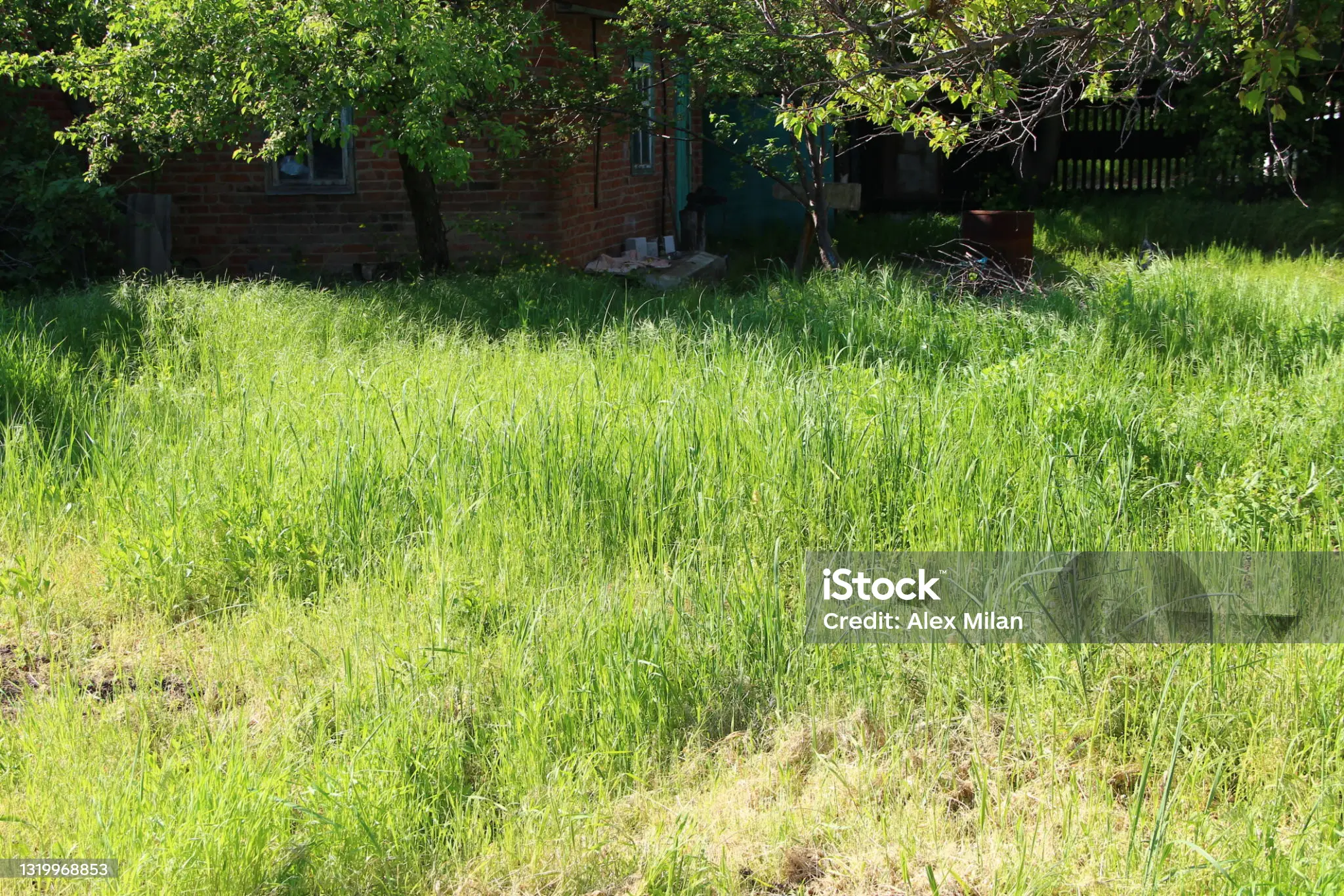 Before landscaping transformation